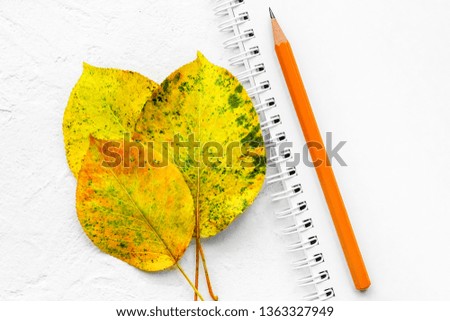 Minimalistic light background with notepad and yellow autumn leaves, copy space. Back to school concept. Creative flat lay