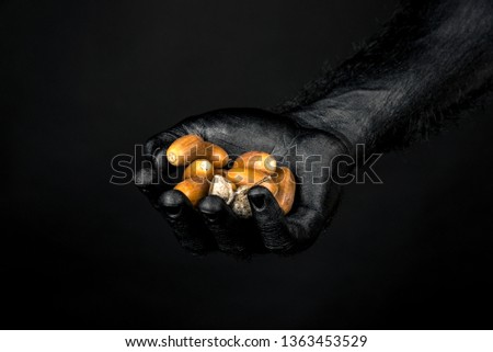 the hand is completely in black paint holding a handful of acorns. Horizontal frame