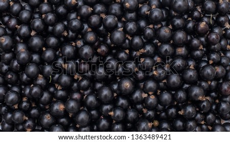 Background from fresh black currant berries, close up. Lot of ripe raw black currant berries lying on the table. Top view, Flat lay. Beautiful food Wallpaper
