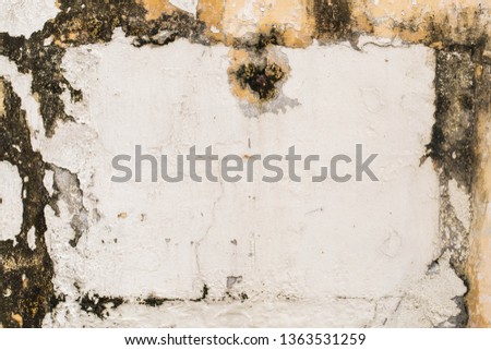 Grunge background. The old texture of wall​
