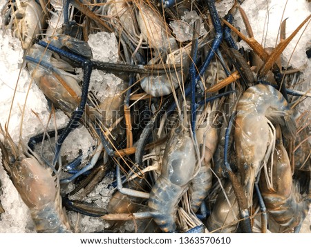 Fresh raw river shrimp or river prawn on ice in the market for sale.