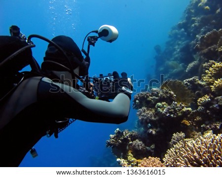 Scuba diver photographer taking pictures on the coral reef. Underwater photo, diver with camera on the reef. Scuba diver, blue ocean, tropical corals and fish. Colorful marine wildlife. 