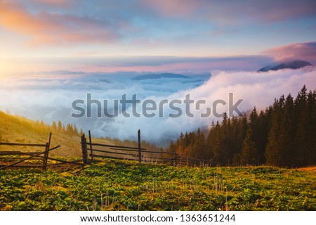 Panoramic view of the misty mountains in the countryside. Location place Carpathian mountains, Ukraine, Europe. An attractive summer scene. Fresh seasonal background. Discover the beauty of earth.