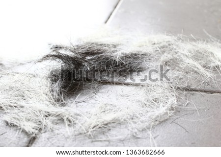 Hair white with black hair on the floor. HAIR CUT.