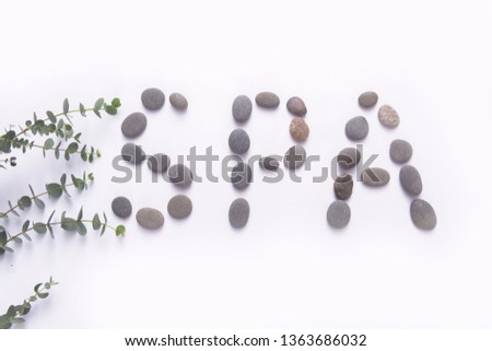 Pebbles with green leaves on white background, sea pebble. Inscription, text, word: SPA. Concept



