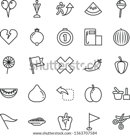 thin line vector icon set - wind direction indicator vector, cross, pennant, toy sand set, colored air balloons, broken heart, flag, move left, slices of onion, peper, Chupa Chups, lollipop, apple