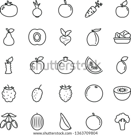 thin line vector icon set - lettuce in a plate vector, tomato, beet, garlic, pear, half apricot, pomegranate, red apple, blackberry, tasty raspberry, mulberry, melon, slice of water, loquat, plum