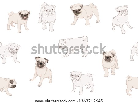 Seamless pattern, background with pug dogs. Colored and outline design. Vector illustration. Isolated on white background.