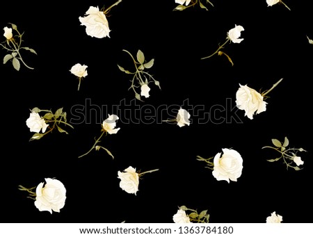 White roses seamless pattern. Isolated on black background. Vector illustration.