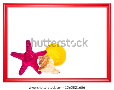 Red frame with sea shells and starfish.