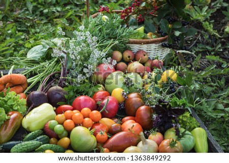 Still life of fresh vegetables and fruits fnd greens