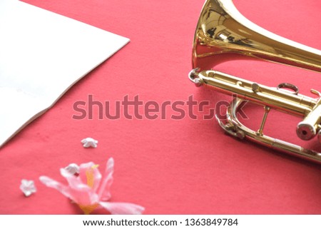 cornet on the red carpet with the flower