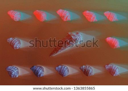 Frame of beautiful seashells in blue, red, pink and living coral color neon light. Mollusk seashell texture.