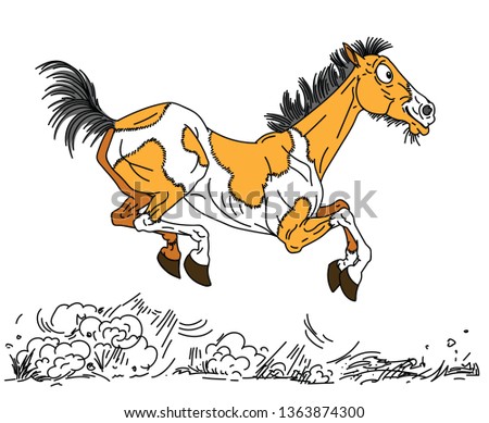cartoon old horse . The happy aged pinto colored mare or mustang running free in the gallop . Side view vector illustration 
