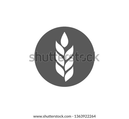 Wheat icon. Simple wheat isolated icon. 