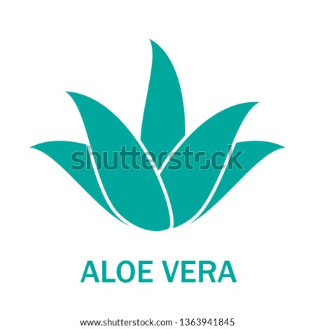 Aloe vera icon isolated on white background. Aloe vera green plant. Flat icon for logo, label and sticker. Creative art concept, vector illustration of aloe vera leaf