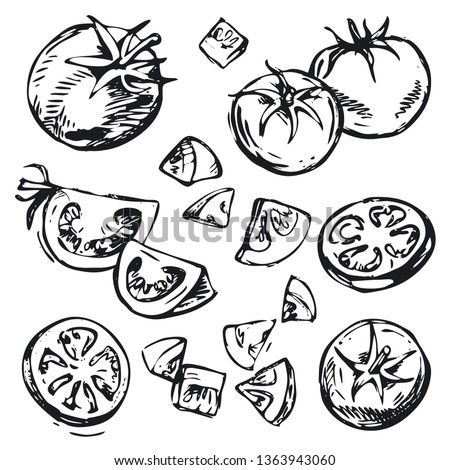 Collection of hand-drawn vector tomatoes. Tomato set. Monochrome drawing in the style of engraving. Cliparts Royalty-Free Stock Photo #1363943060