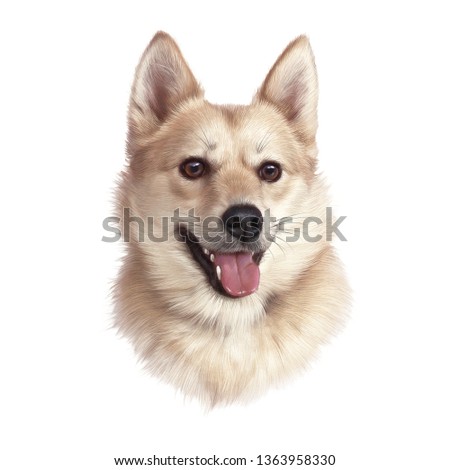 Head of Handsome dog isolated on white background. Cute puppy. Realistic Hand drawing of a puppy. Watercolor Animal art collection: Small Dog Breed. Good for print T-shirt, pillow. Design template