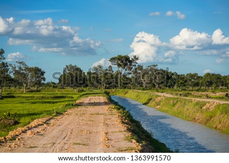 Stock Photo - Soucre of life, farmer grow rice , river ,water