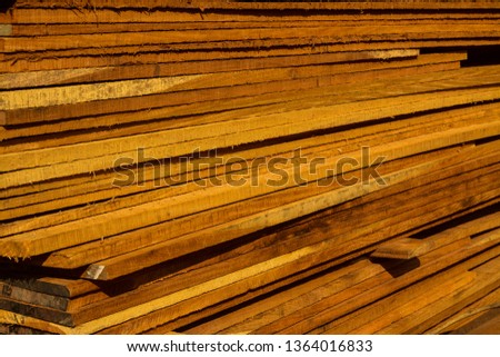 Texture of sawn timber with brown color under sunlight 