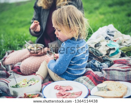 A young mother and her toddler are enjoying a picnic on the grass in spring