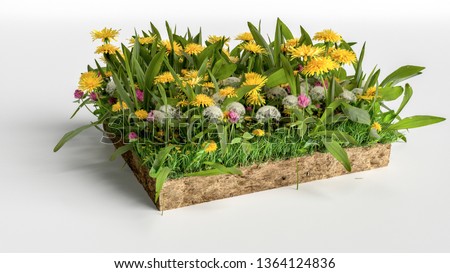 realistic 3D rendering cutaway terrain floor, 3D Illustration soil ground cross section with earth land and green grass with flowers