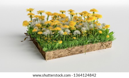 Square of mini garden with flowers and green grass field over white background, 3D Illustration
