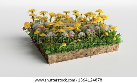 realistic 3D rendering cutaway terrain floor, 3D Illustration soil ground cross section with earth land and green grass flowers