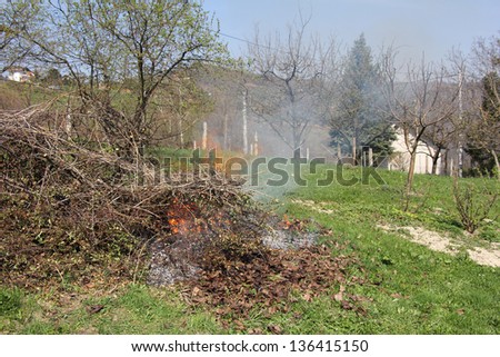 Spring burning branches from cutting fruit trees