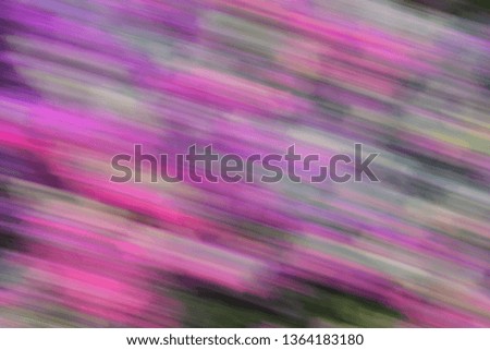 illustrated blurry pink purple flowers as background