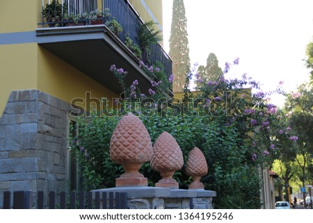 architectural decoration on the background of the house and green foliage