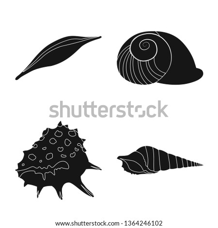 Isolated object of nature  and ocean icon. Set of nature  and mollusk vector icon for stock.
