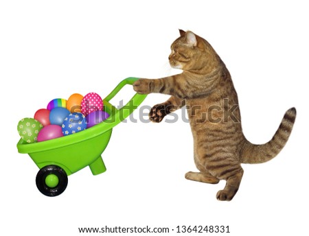 The cat is pushing the green wheelbarrow with easter eggs. White background. Isolated.