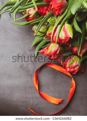 Symbols of memory 9 May, 23 February card concept. Red tulip and red ribbon