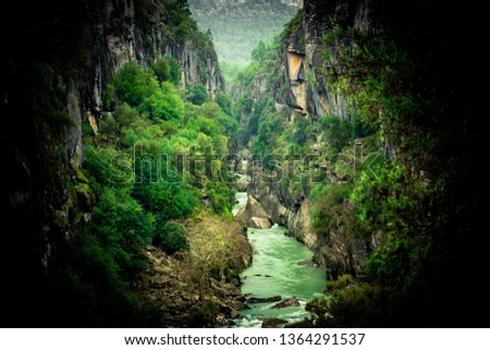 River and forest landscape. Mystical view from forest inside. Manavgat, Antalya, Turkey.