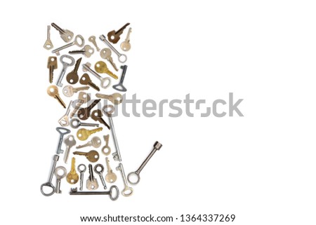Cat figure made of keys on white isolated background. Conceptual photography. Old keys. Place for your lettering.