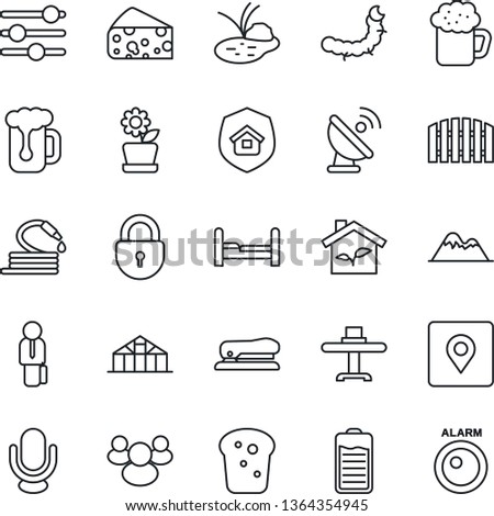 Thin Line Icon Set - lock vector, hose, greenhouse, caterpillar, pond, satellite antenna, microphone, group, battery, tuning, place tag, manager, stapler, mountains, fence, bedroom, flower in pot