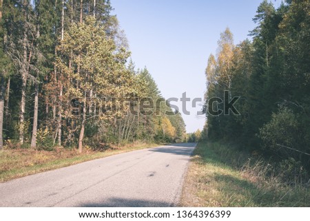 summer asphalt road in perspective with signs and markings, green forest on both sides - vintage retro look