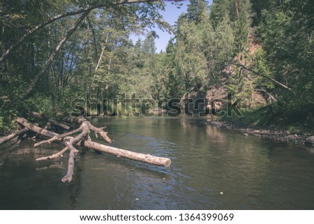 summer day on water in calm river enclosed in forests with sandstone cliffs and dry wood. dark water in river of Brasla, Latvia - vintage retro film look