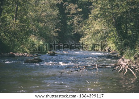 summer day on water in calm river enclosed in forests with sandstone cliffs and dry wood. dark water in river of Brasla, Latvia - vintage retro film look