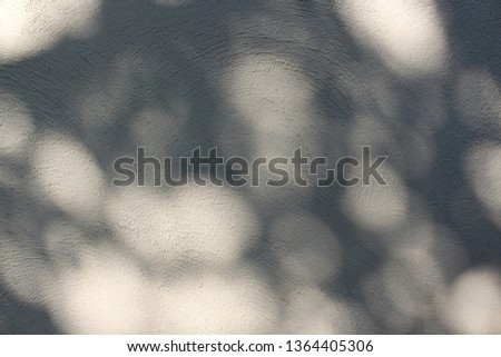 Shadows of trees on gray concrete walls. Gray background.