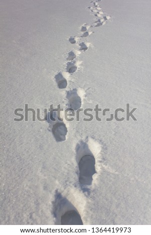 human footprints in deep pure white snow close up