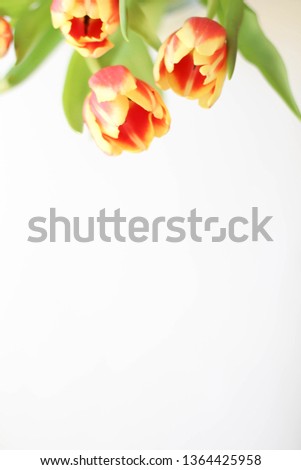 Tulips are the most colorful of all spring flowers. Yellow Flowers. Bouquet of spring flowers that share the delight and beauty of the season. Happy Birthday. Colorful bouquet of tulips.