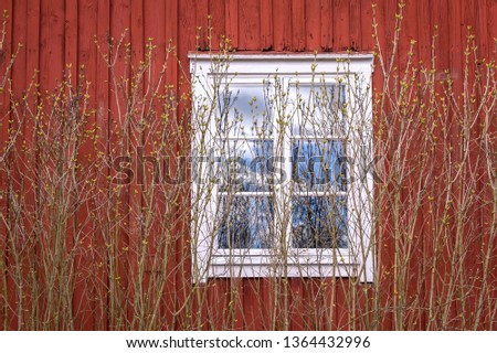 A wooden window of a typical Swedish hut with the typical Falu red. In front of the window there was a bush growing which sprouts its buds in spring.