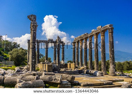 Euromos (Euromus) Ancient City.  Soke - Milas road, Mugla, Turkey. Temple of Zeus Lepsynos was built in the 2nd century Royalty-Free Stock Photo #1364443046
