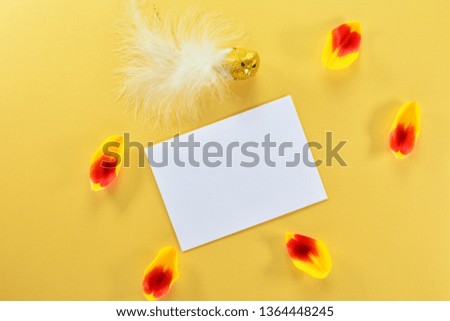 Spring or summer background. Card with place for text, with a beautiful tulip petals and a golden bird on a yellow background. Top view. Flat lay. Floral background and beautiful postcard blank. 