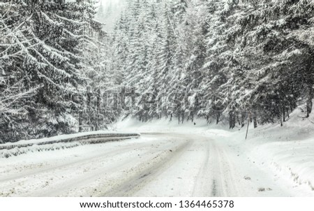 Forest road covered with snow during blizzard snowstorm, trees on both sides. Dangerous driving conditions in winter
