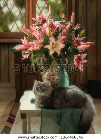 Still life with splendid bouquet of pink lily and curious kitty