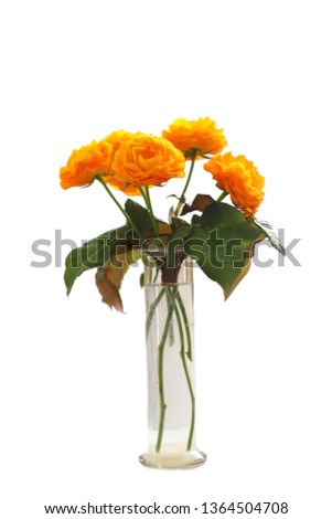 Orange roses in glass vase on grey background