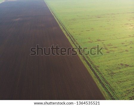 Aerial view on green and brown field divided in half. Aerial view ; Rows of soil before planting.Furrows row pattern in a plowed field prepared for planting crops in spring.Horizontal view in perspect